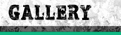 ギャラリー