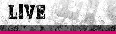 ライブ情報